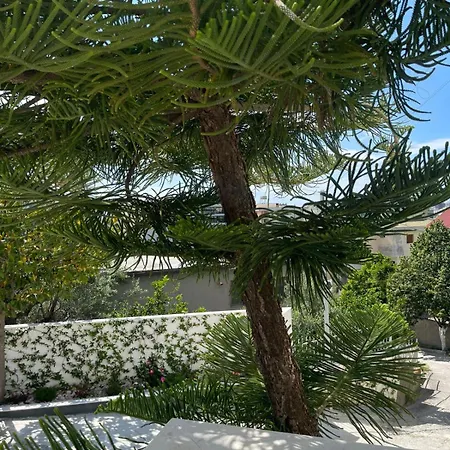 Suloti Retreat Homes Дом отдыха *